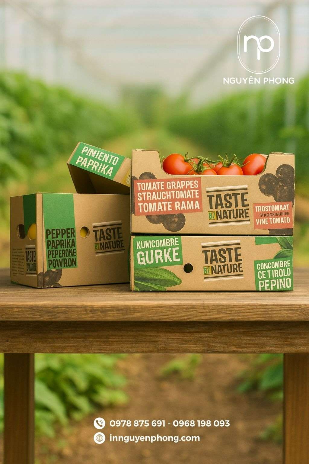 Mẫu thùng carton thiết kế nổi bật đựng nông sản